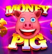 live casino house official site